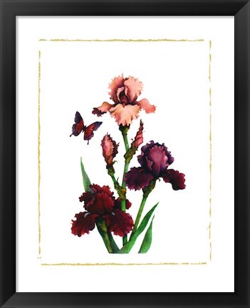 Framed Irises of Spring I Print