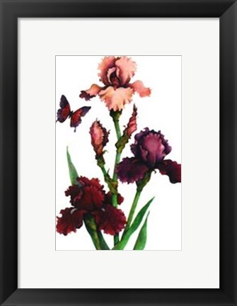 Framed Irises of Spring I Print