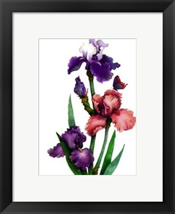 Framed Irises of Spring II Print