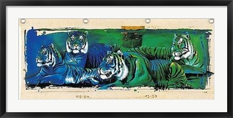 Framed White Tigers Print