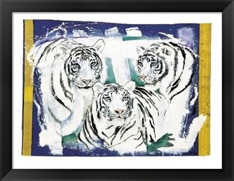 Framed Three White Tigers Print