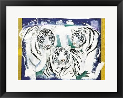 Framed Three White Tigers Print