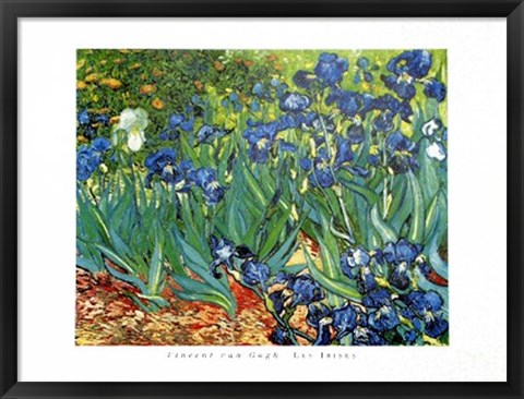 Framed Les Irises Print