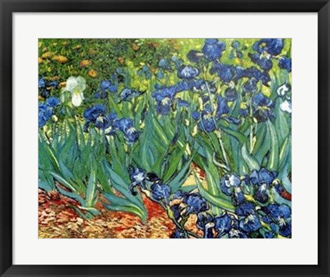 Framed Les Irises Print