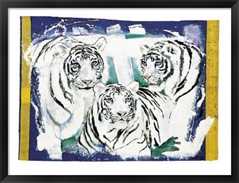 Framed Three White Tigers Print