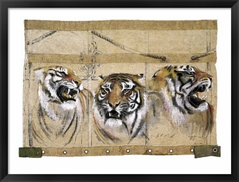 Framed Circus Tiger Print