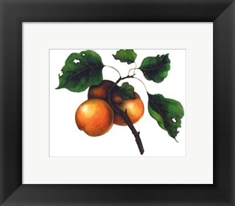 Framed Goldmine Nectarine Print