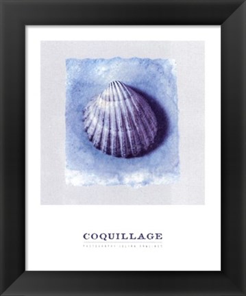 Framed Coquillage Print