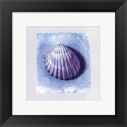 Framed Coquillage Print