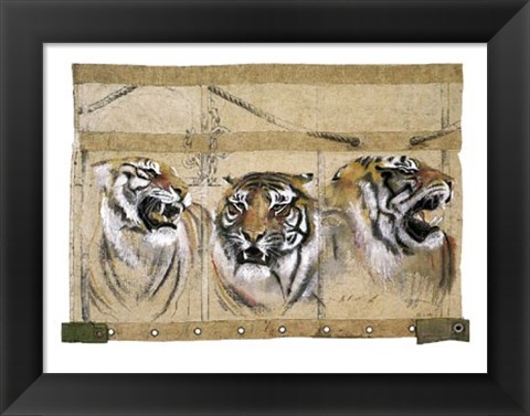 Framed Circus Tiger Print