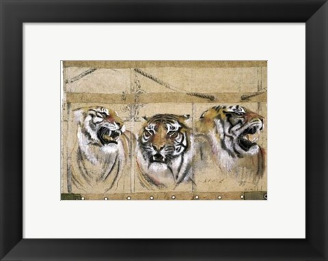 Framed Circus Tiger Print