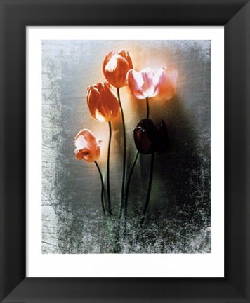 Framed Five Tulips Print