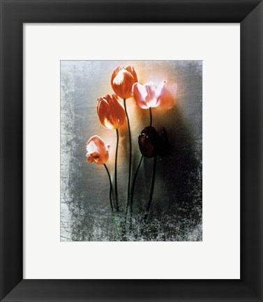 Framed Five Tulips Print