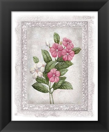 Framed Flowers of Spring III Print