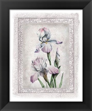 Framed Flowers of Spring IV Print