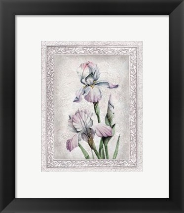 Framed Flowers of Spring IV Print