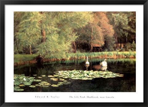 Framed Lily Pond, Shudbrook, Near Lincoln Print