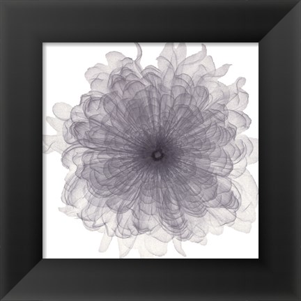 Framed Chiffon Floral Print