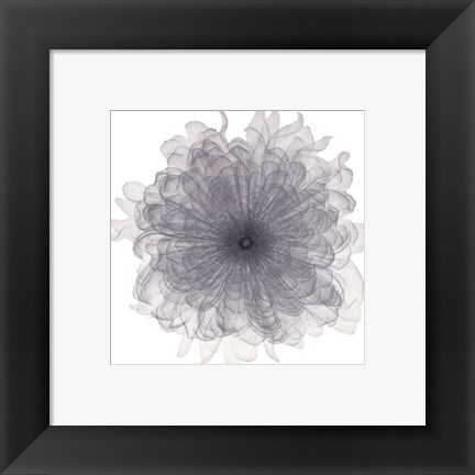 Framed Chiffon Floral Print