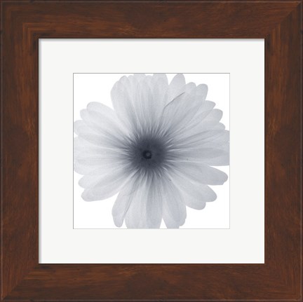 Framed Delicate Petals Print