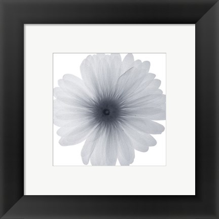 Framed Delicate Petals Print