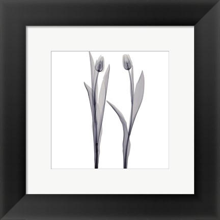 Framed Delicate Duo Print