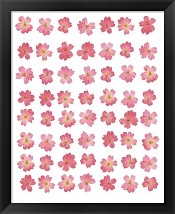 Framed Eight Lines of Pink Flowers Print