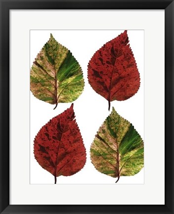 Framed Four Leaves I Print