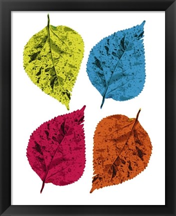 Framed Four Leaves II Print