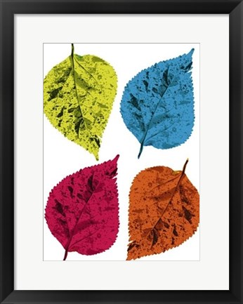 Framed Four Leaves II Print