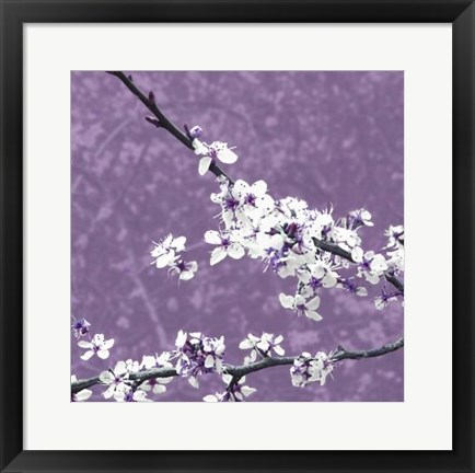 Framed Blossom in Lilac Print