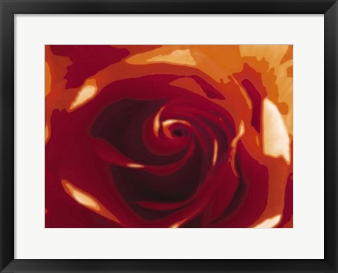 Framed Rose Variation II Print