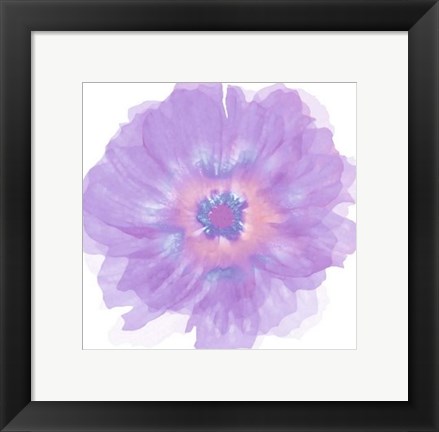 Framed Fleur Violette Print