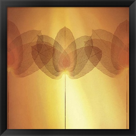 Framed Transparence V Print