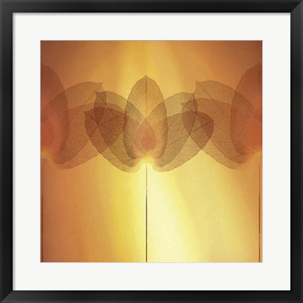 Framed Transparence V Print