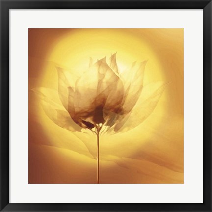 Framed Transparence VI Print