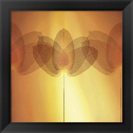 Framed Transparence VI Print