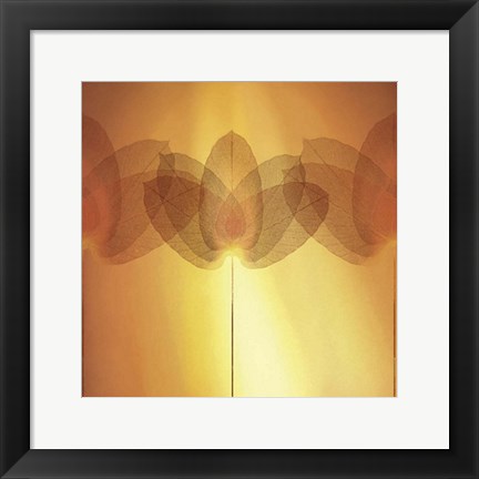 Framed Transparence VI Print