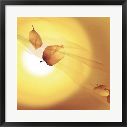 Framed Transparence III Print