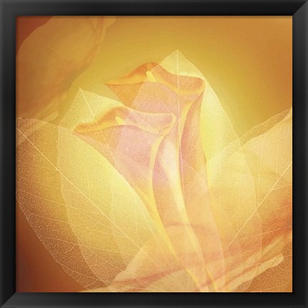 Framed Transparence IV Print