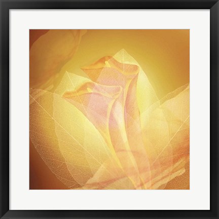 Framed Transparence IV Print