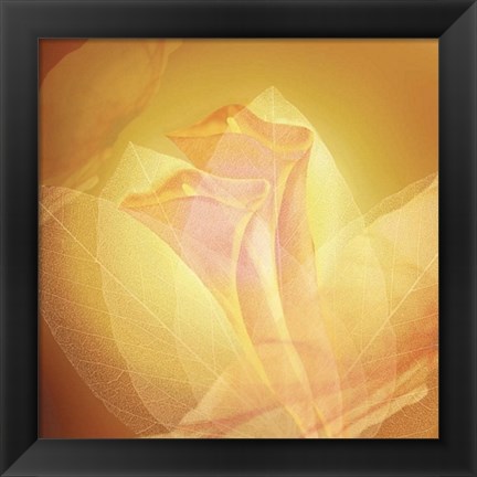 Framed Transparence IV Print