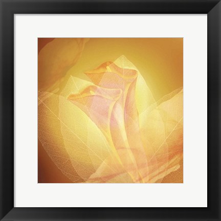 Framed Transparence IV Print