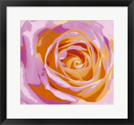 Framed Rose Variation II Print