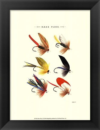 Framed Bass Flies I Print