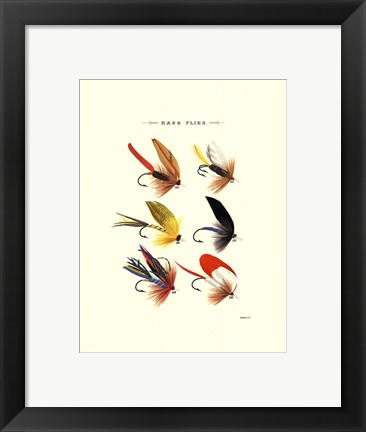 Framed Bass Flies I Print