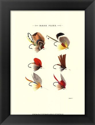 Framed Bass Flies II Print