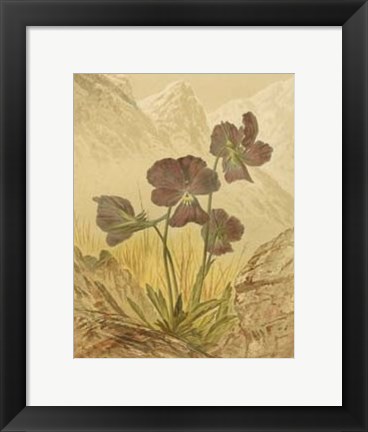 Framed Alpine Florals I Print