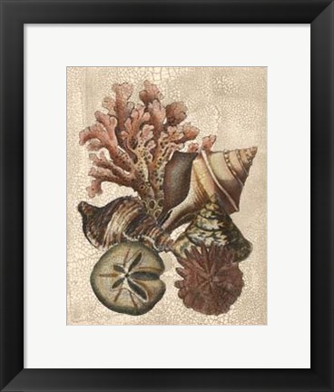 Framed Crackled Shell and Coral Collection on Cream I Print