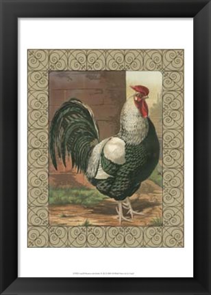 Framed Cassell&#39;s Roosters with Border IV Print